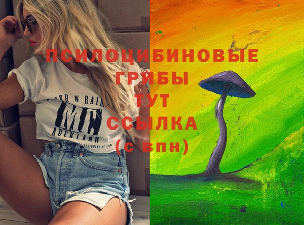 шишки Балахна