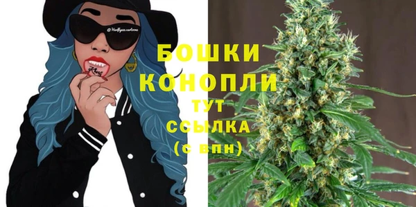 шишки Балахна