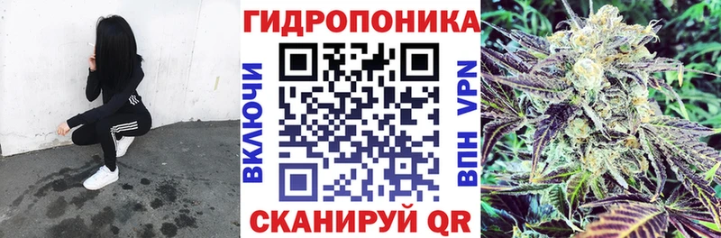 купить   Реж  KRAKEN как зайти  Бошки марихуана план 